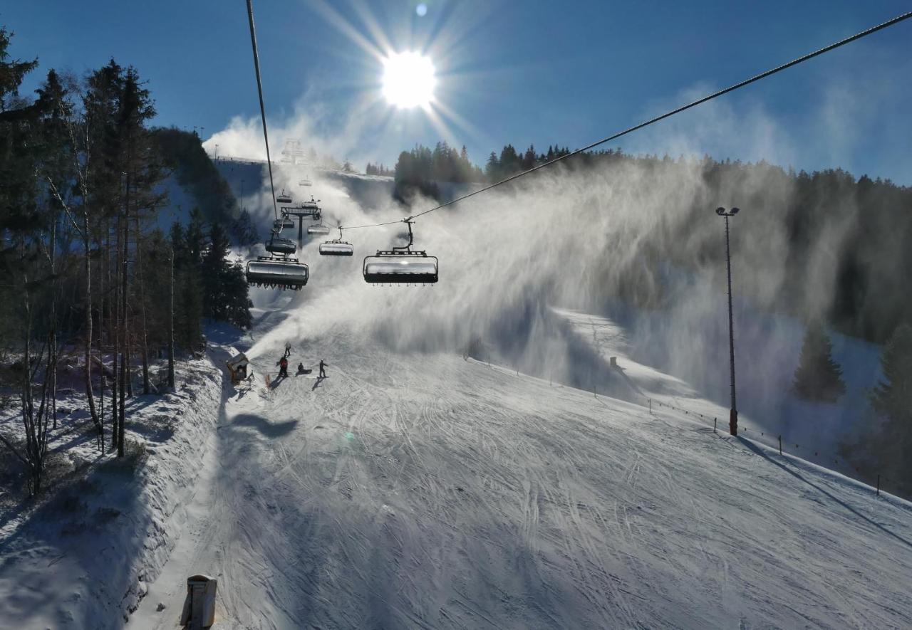 Quartier12 "Ski In & Bike Out" - Fewo Berg Willingen  Eksteriør bilde