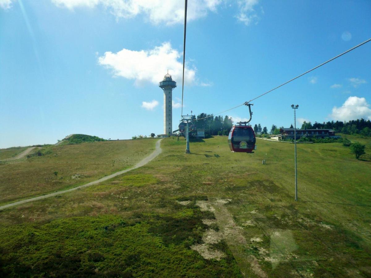 Quartier12 "Ski In & Bike Out" - Fewo Berg Willingen  Eksteriør bilde